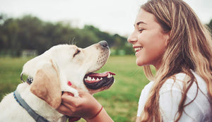 A Heartfelt Pet Memorial Ideas to Honor Your Furry Friend