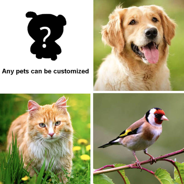 Any pets can be Customized